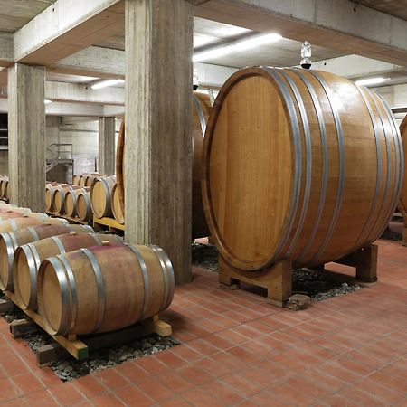Cinigiano Poderi Firenzeゲストハウス エクステリア 写真