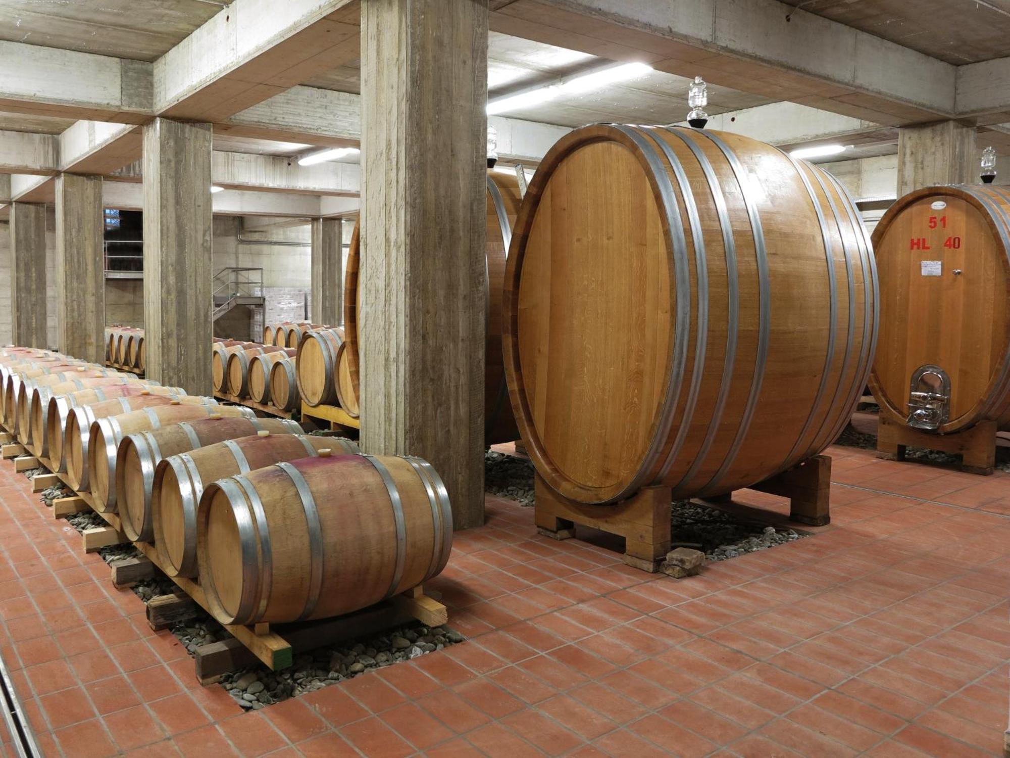 Cinigiano Poderi Firenzeゲストハウス エクステリア 写真