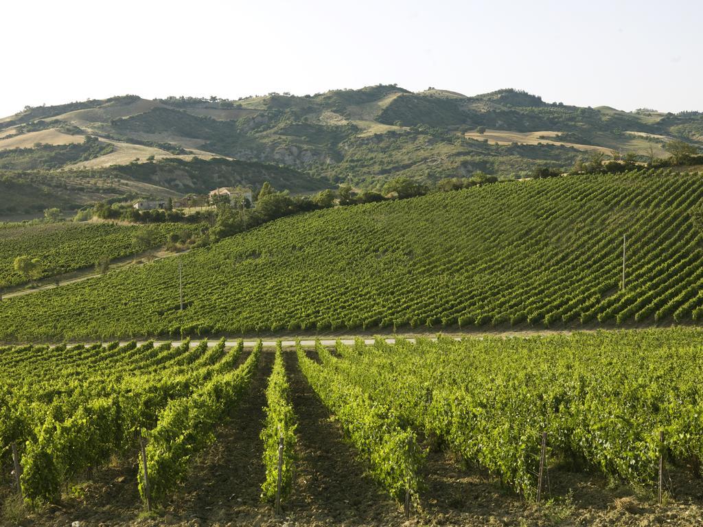 Cinigiano Poderi Firenzeゲストハウス エクステリア 写真
